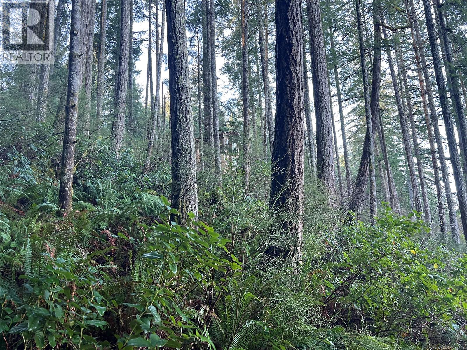 1747 Hyacinthe Bay Rd, Quadra Island, British Columbia  V0P 1H0 - Photo 75 - 1027112