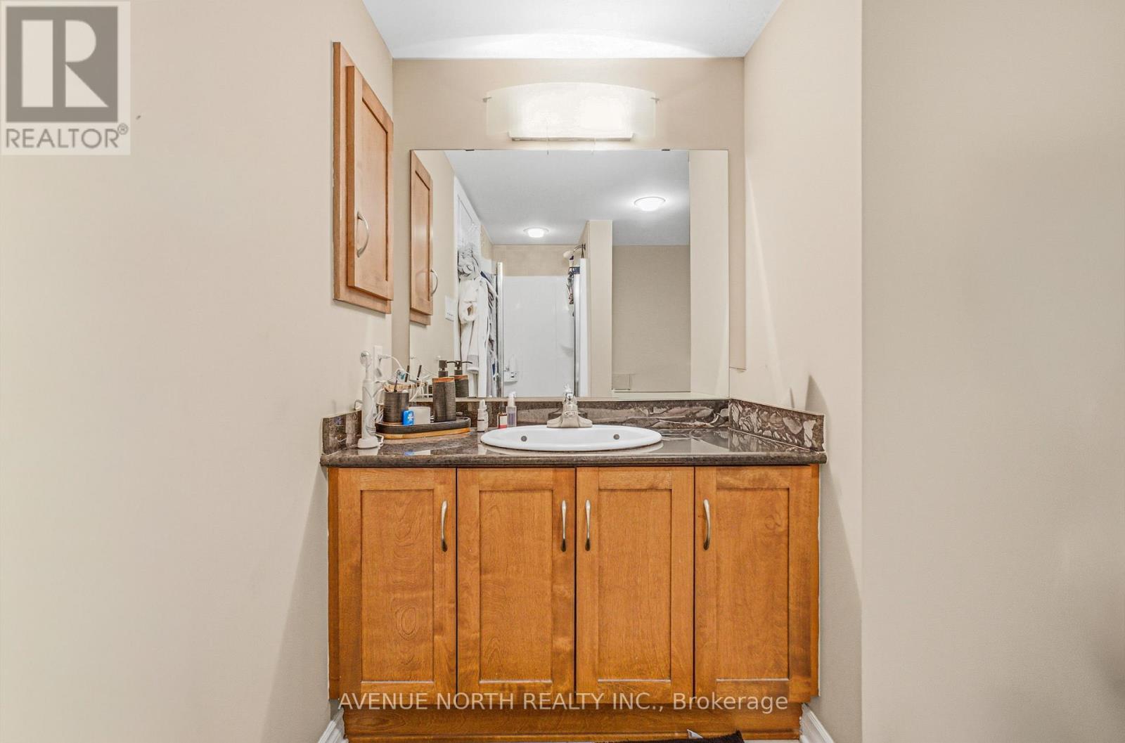 812 - 314 Central Park Drive, Ottawa, Ontario K2C 0R2 - Photo 11 - X12824464