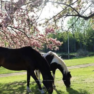 3750 Bass Road, Rideau Lakes, Ontario  K0G 1L0 - Photo 4 - X12824506