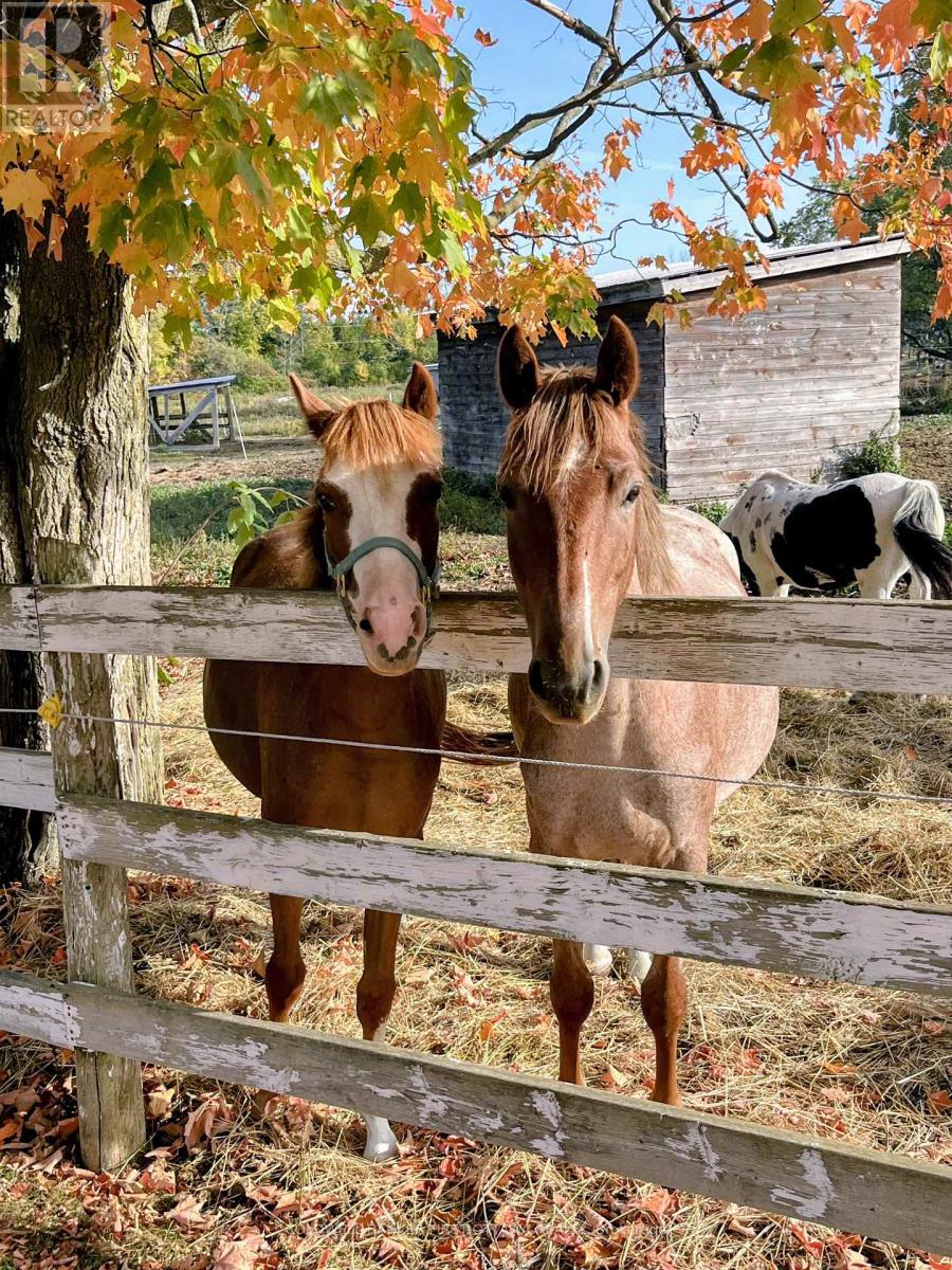 3750 Bass Road, Rideau Lakes, Ontario  K0G 1L0 - Photo 50 - X12824506