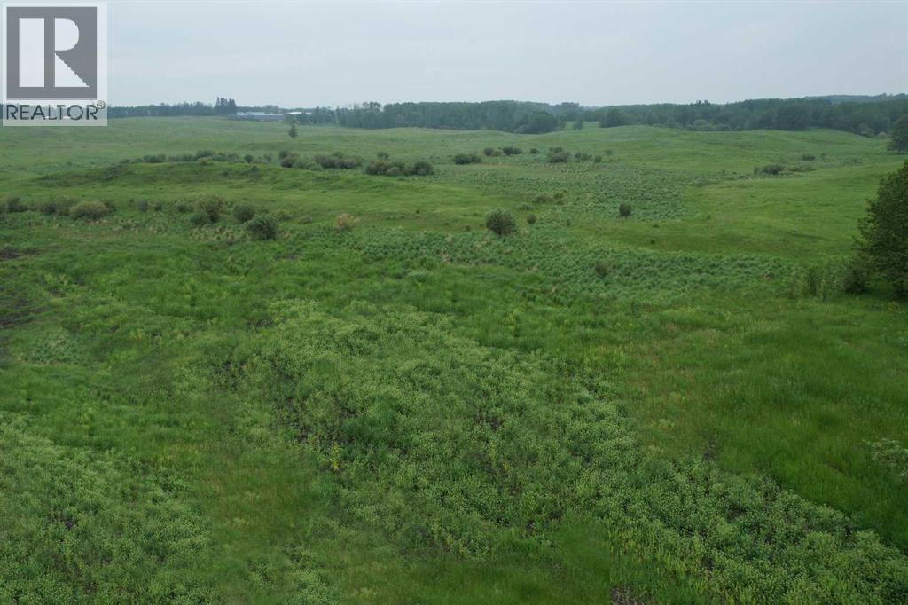 On Township Road 422 Lot 7, Rural Ponoka County, Alberta  T0C 2J0 - Photo 2 - A2228461