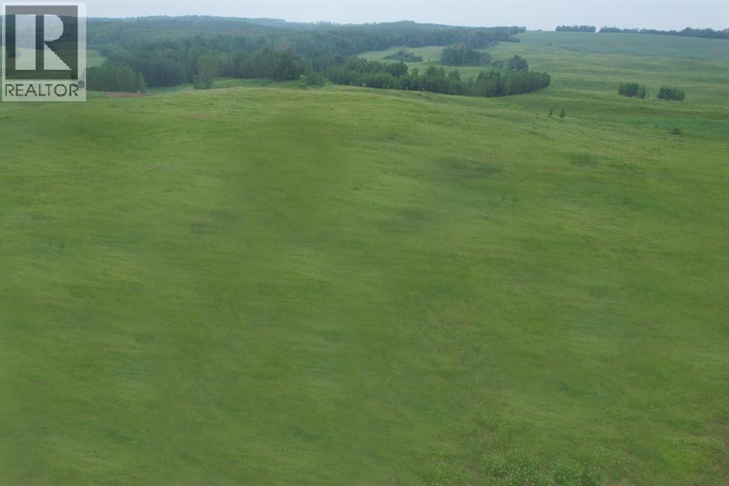 On Township Road 422 Lot 12, Rural Ponoka County, Alberta  T0C 2J0 - Photo 2 - A2228701