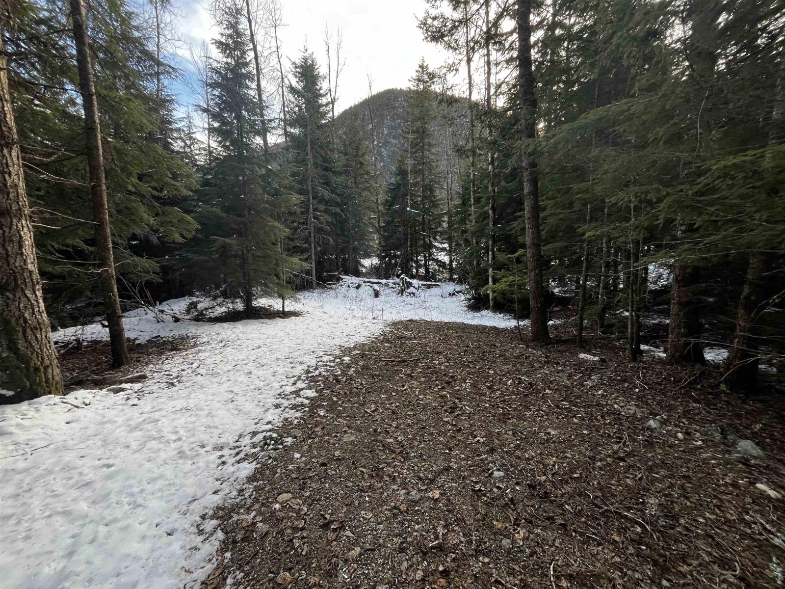 Sve97 Old Hope Princeton Highway, Sunshine Valley, Sunshine Valley, British Columbia  V0X 1L5 - Photo 19 - R3093943