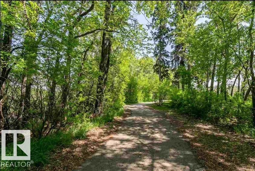 #101 260 Sturgeon Rd, St. Albert, Alberta  T8N 7C6 - Photo 33 - E4474333