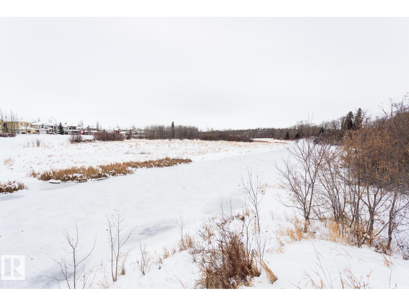 #101 260 Sturgeon Rd, St. Albert, Alberta  T8N 7C6 - Photo 30 - E4474333