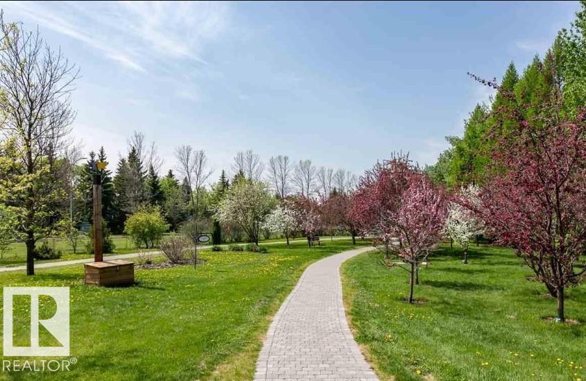 #101 260 Sturgeon Rd, St. Albert, Alberta  T8N 7C6 - Photo 35 - E4474333