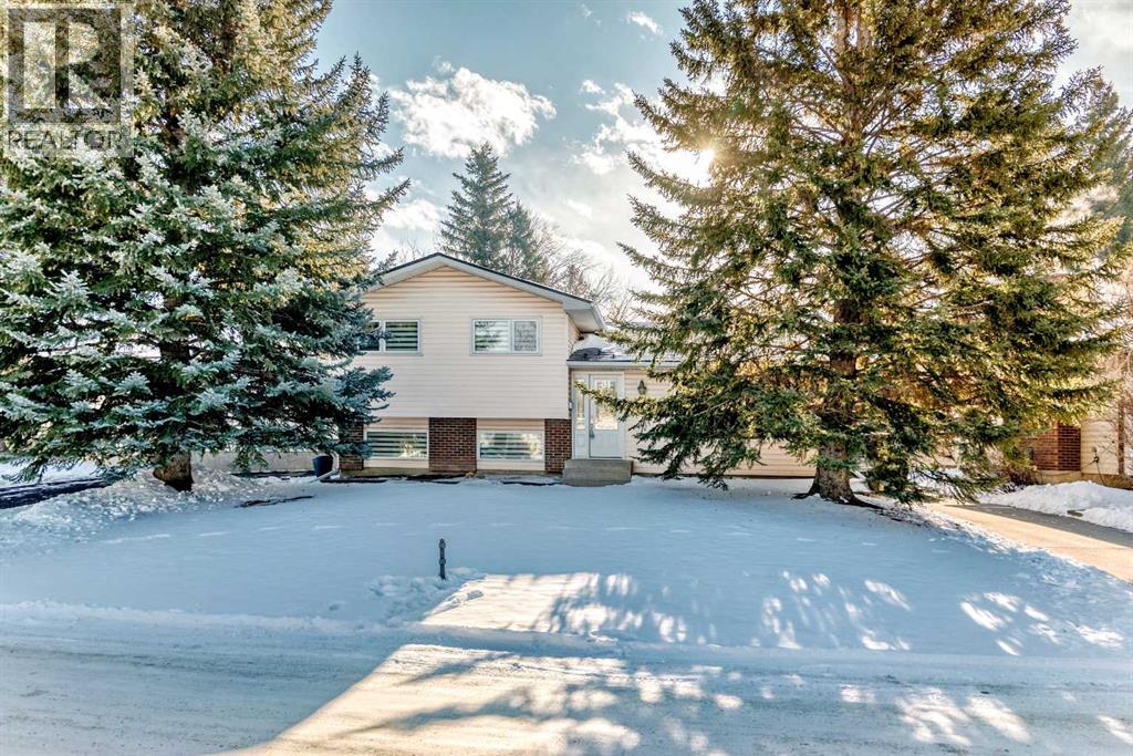 507 Brookpark Drive Sw, Calgary, Alberta  T2W 2W9 - Photo 44 - A2287562