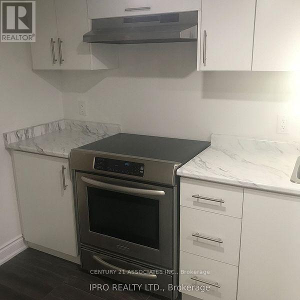 Basement - 8 Stillwater Crescent, Hamilton, Ontario  L0R 2H8 - Photo 10 - X12824640