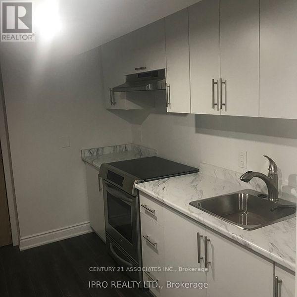 Basement - 8 Stillwater Crescent, Hamilton, Ontario  L0R 2H8 - Photo 11 - X12824640