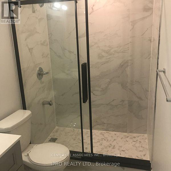 Basement - 8 Stillwater Crescent, Hamilton, Ontario  L0R 2H8 - Photo 6 - X12824640