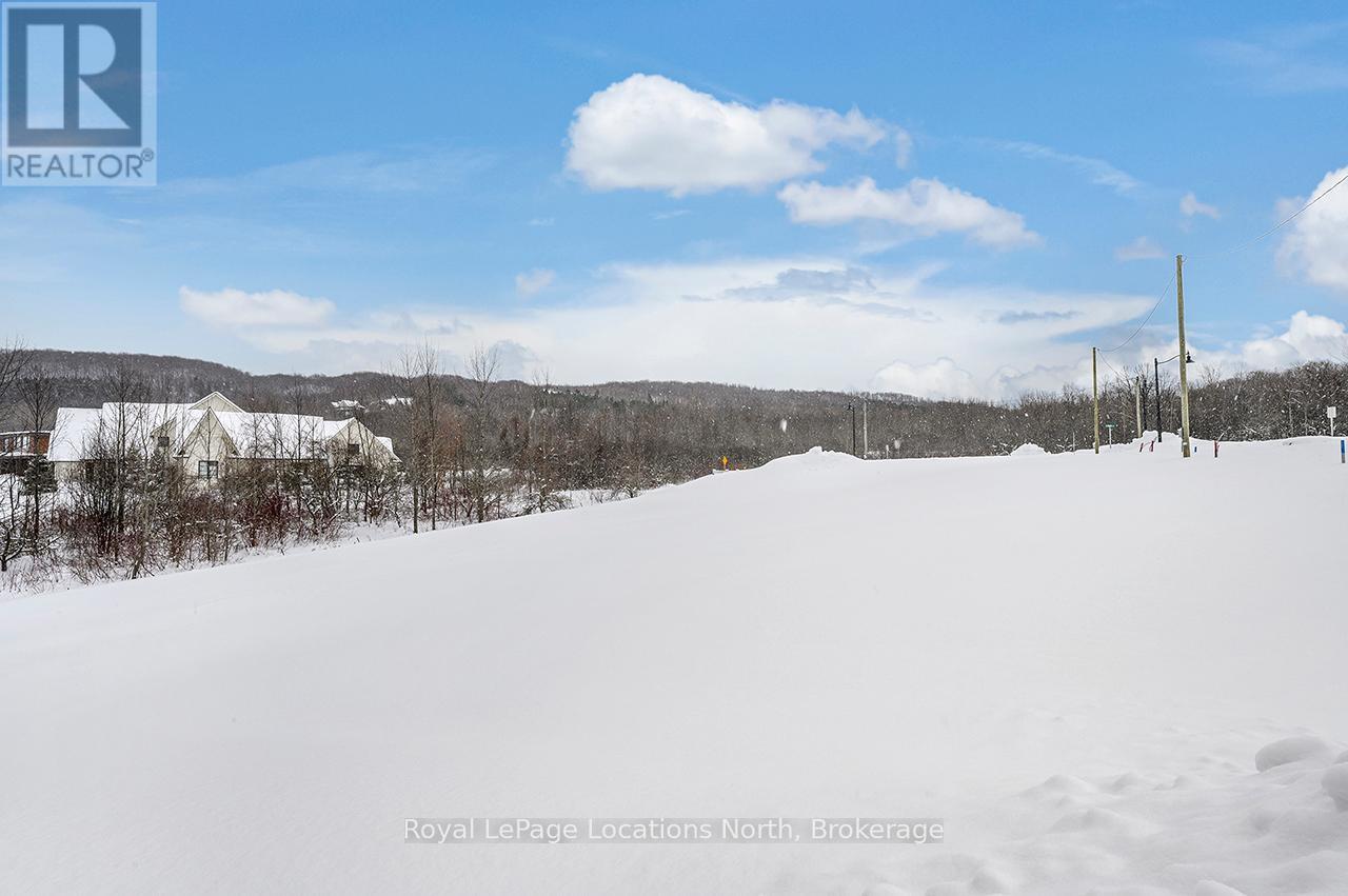 113 Clement Lane, Blue Mountains, Ontario  N0H 1J0 - Photo 3 - X12824812