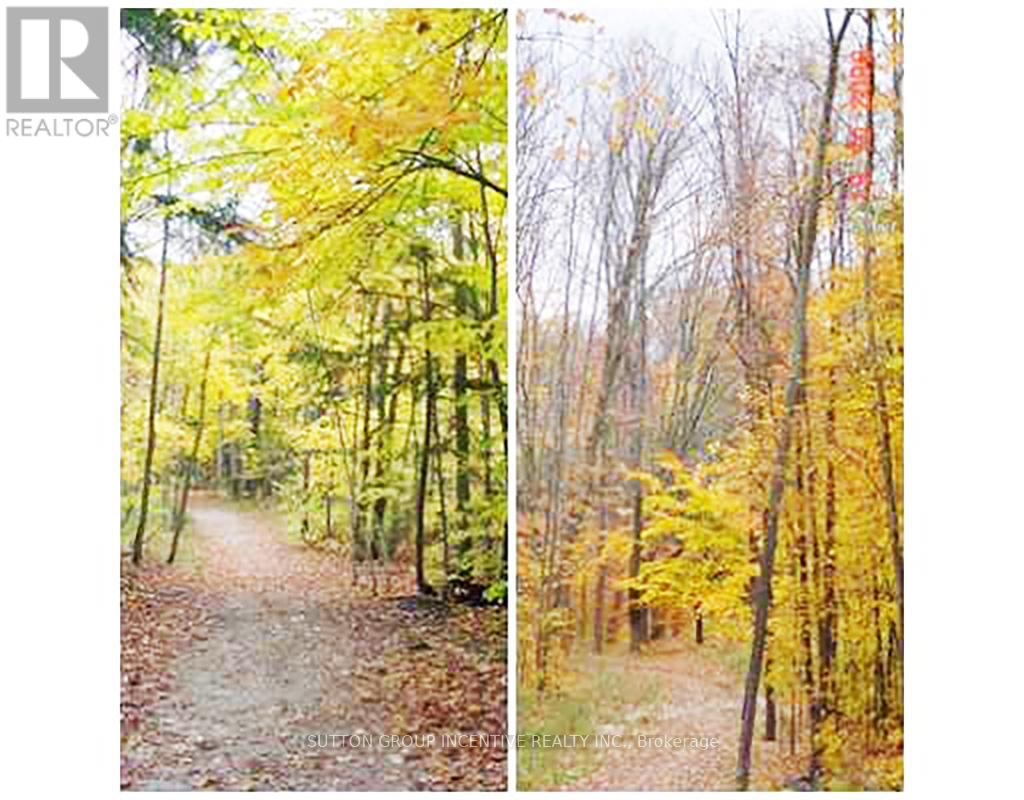 38 Hurst Drive, Barrie (Bayshore), Ontario L4N 9K3 - Photo 21 - S12824752