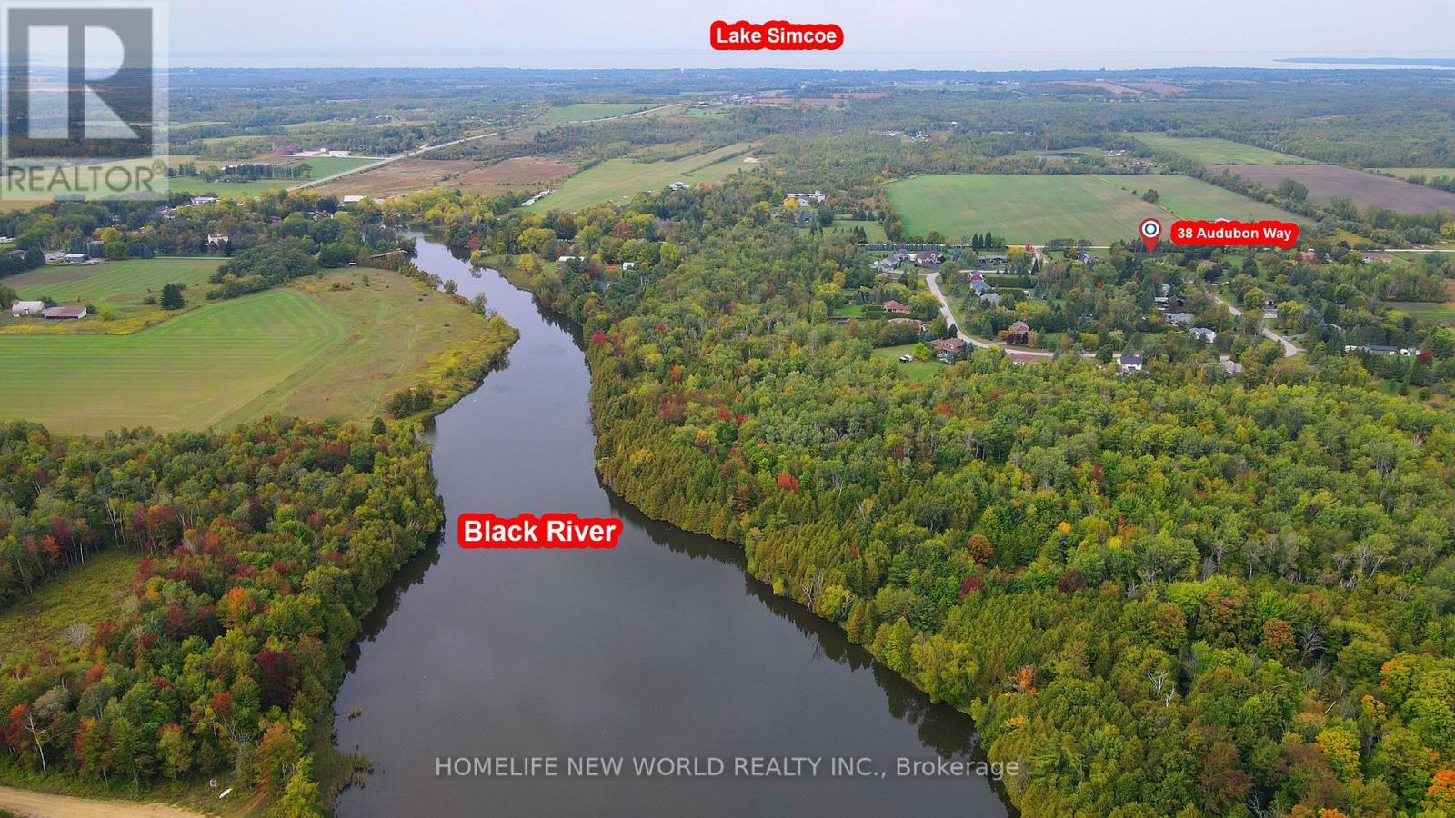 38 Audubon Way, Georgina, Ontario  L0E 1A0 - Photo 37 - N12824960