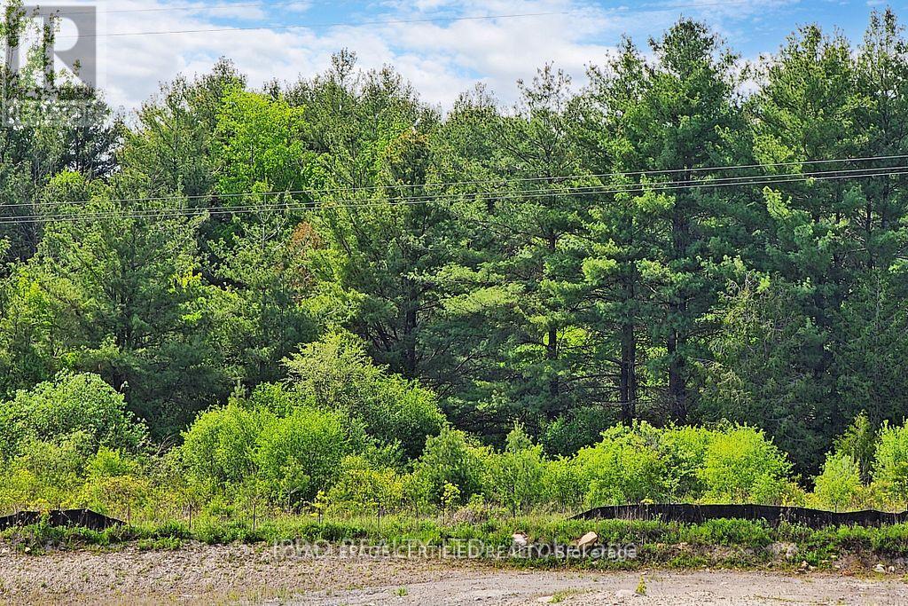 2614 Castlegate Crossing, Pickering, Ontario  L1X 0H9 - Photo 37 - E12824848