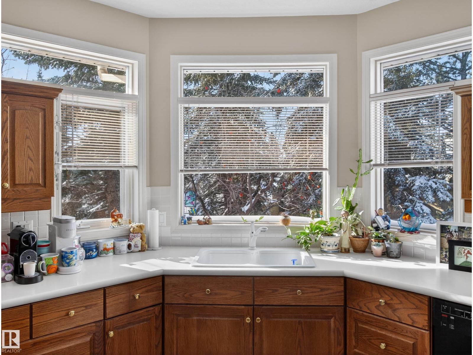 403 Twin Brooks Cr Nw, Edmonton, Alberta  T6K 0J4 - Photo 23 - E4475042