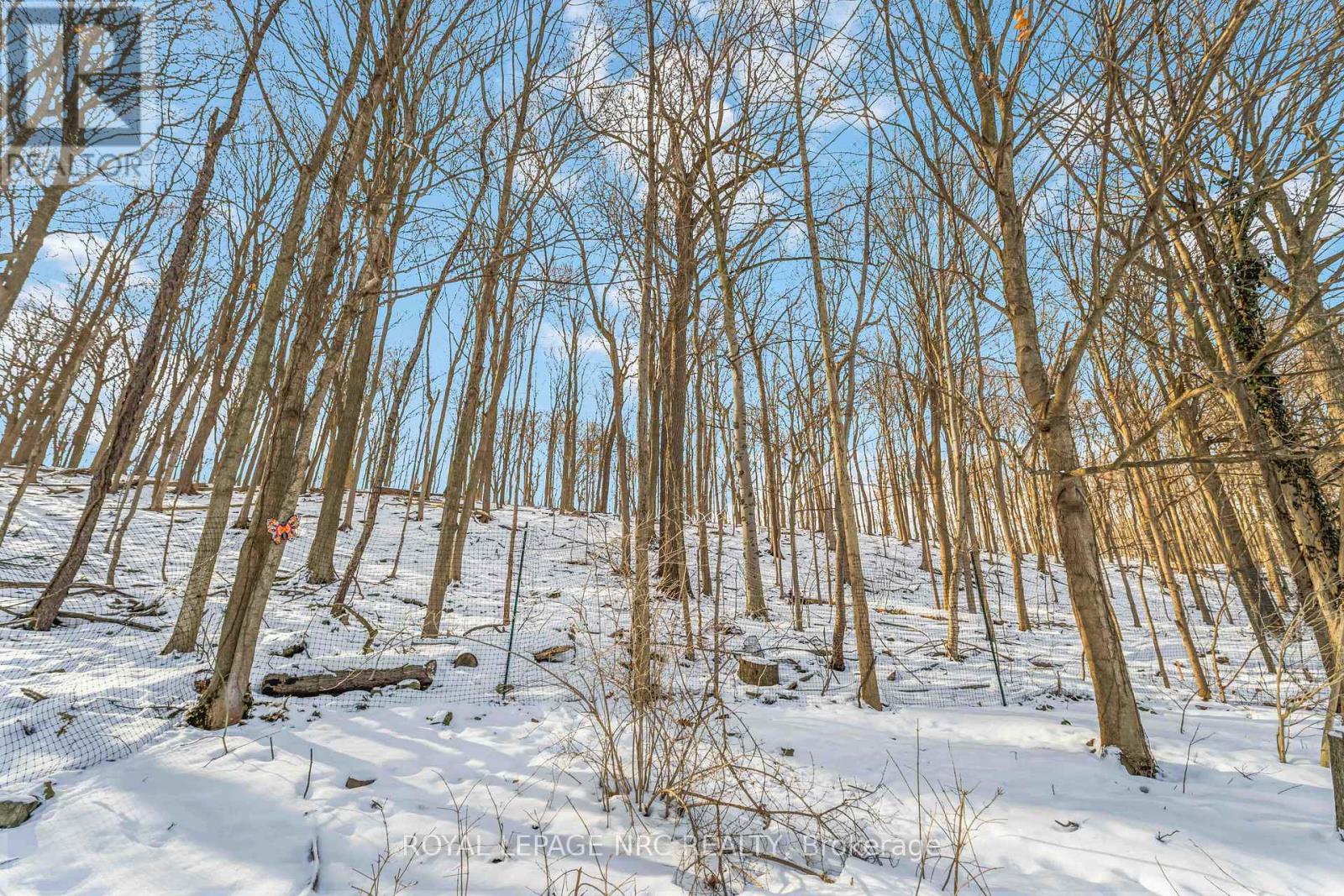 192 Woodside Drive, St. Catharines, Ontario  L2T 1X6 - Photo 42 - X12824688