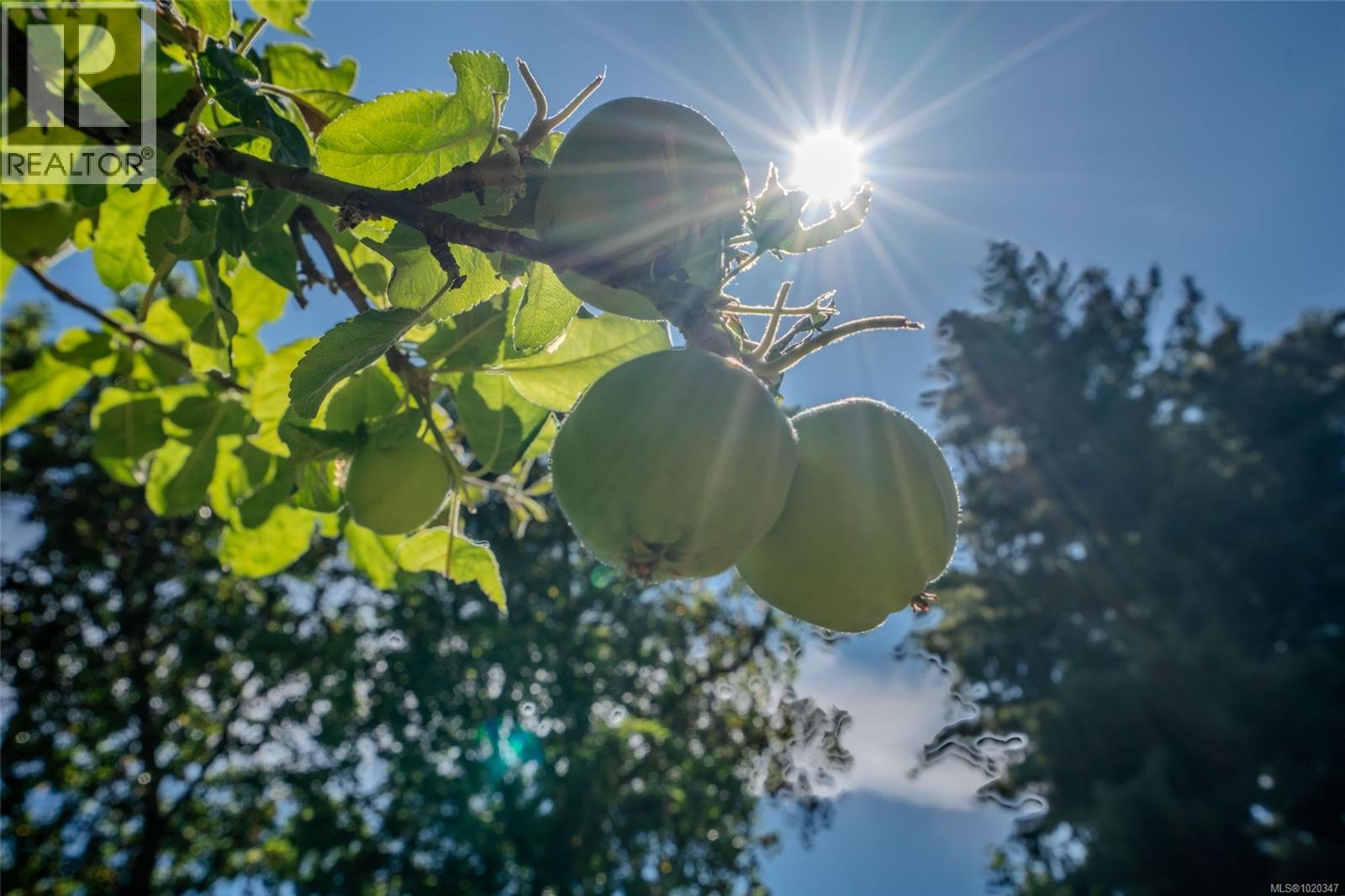 Lorem Ipsum Dolor, Parksville, British Columbia  V9P  - Photo 7 - DEMO29104371