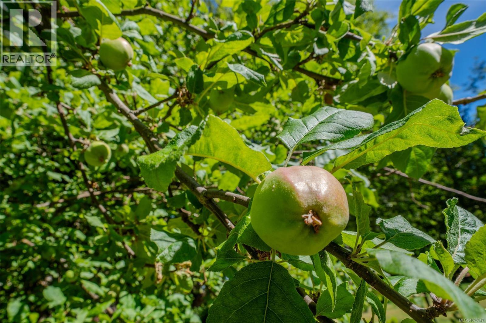 Lorem Ipsum Dolor, Parksville, British Columbia  V9P  - Photo 12 - DEMO29104371