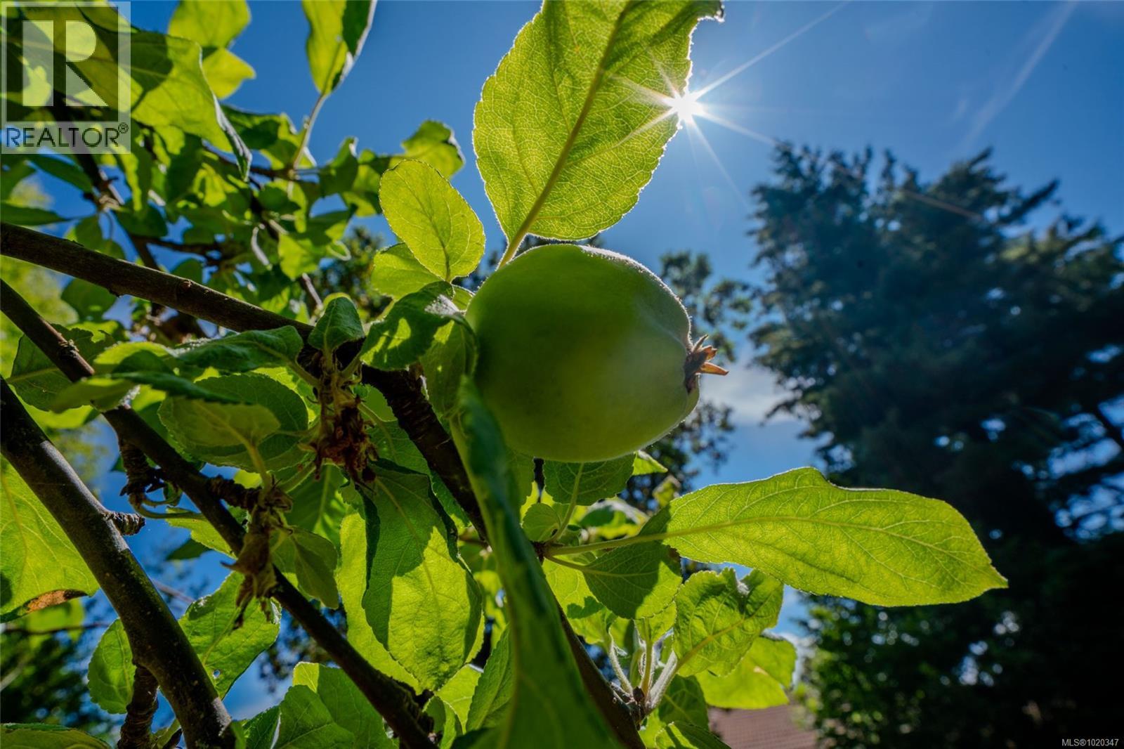 Lorem Ipsum Dolor, Parksville, British Columbia  V9P  - Photo 14 - DEMO29104371