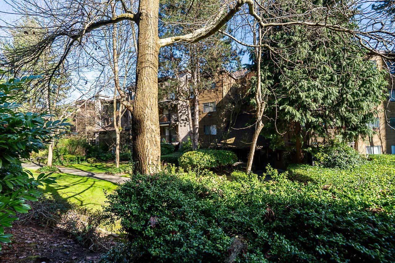 106 10644 151a Street, Surrey, British Columbia V3R 8R3 - Photo 29 - R3093837