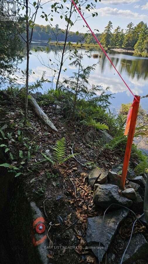 26 Fox Farm Road, Mckellar, Ontario  P0G 1C0 - Photo 12 - X12825340