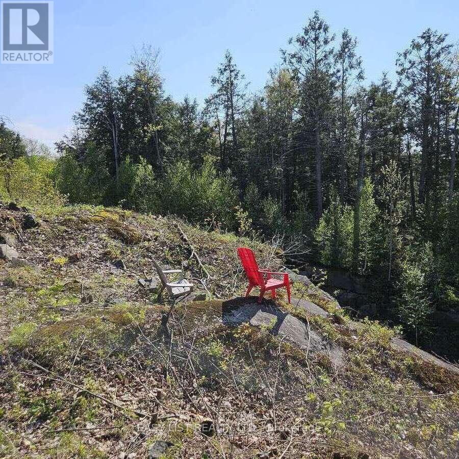 26 Fox Farm Road, Mckellar, Ontario  P0G 1C0 - Photo 15 - X12825340