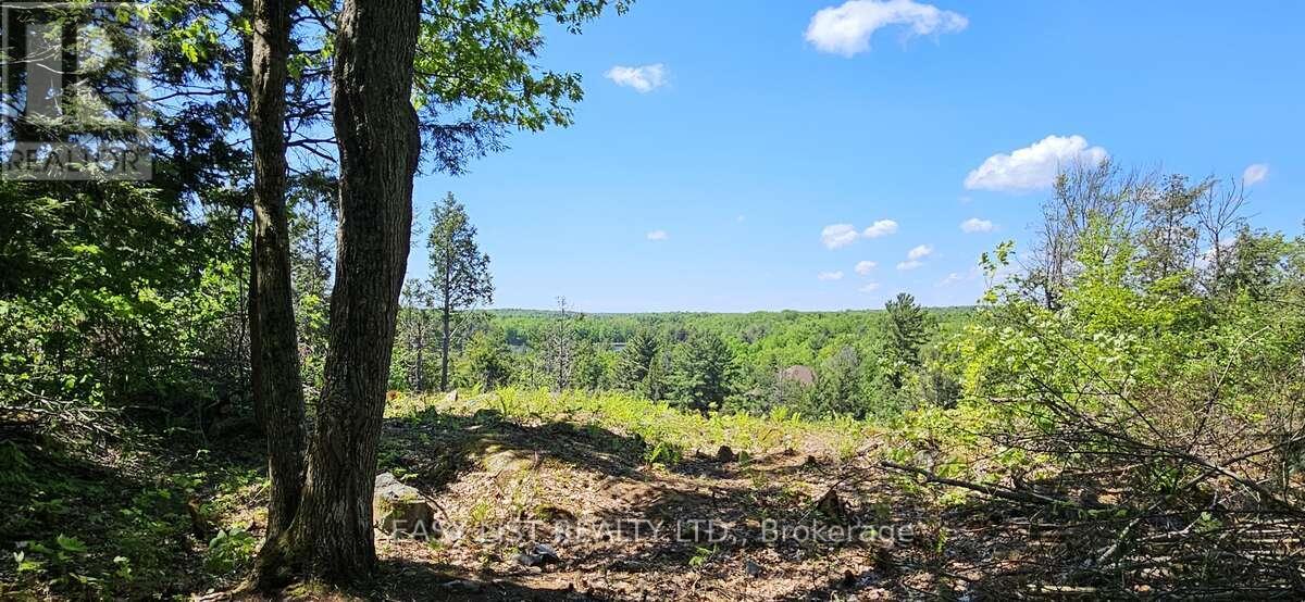 26 Fox Farm Road, Mckellar, Ontario  P0G 1C0 - Photo 6 - X12825340