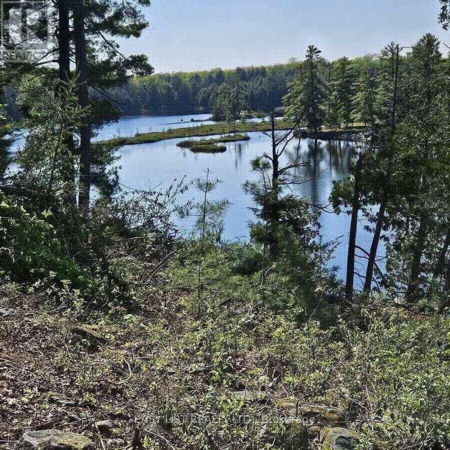 26 Fox Farm Road, Mckellar, Ontario  P0G 1C0 - Photo 8 - X12825340