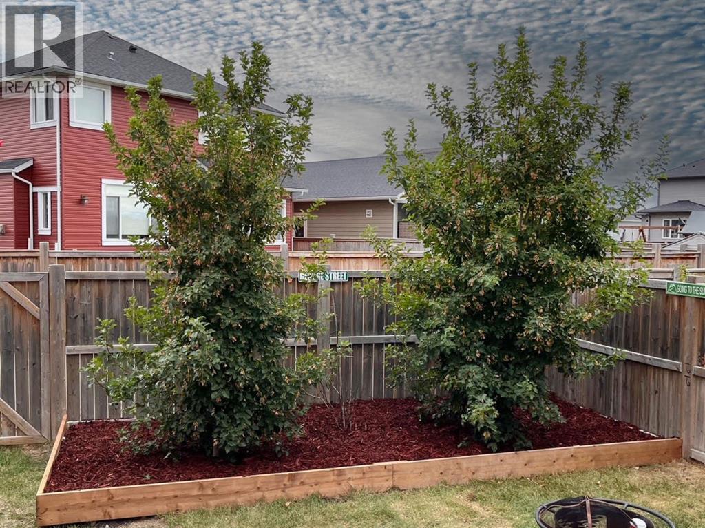 729 Hampton Hills Drive Ne, High River, Alberta  T1V 0E6 - Photo 31 - A2288169