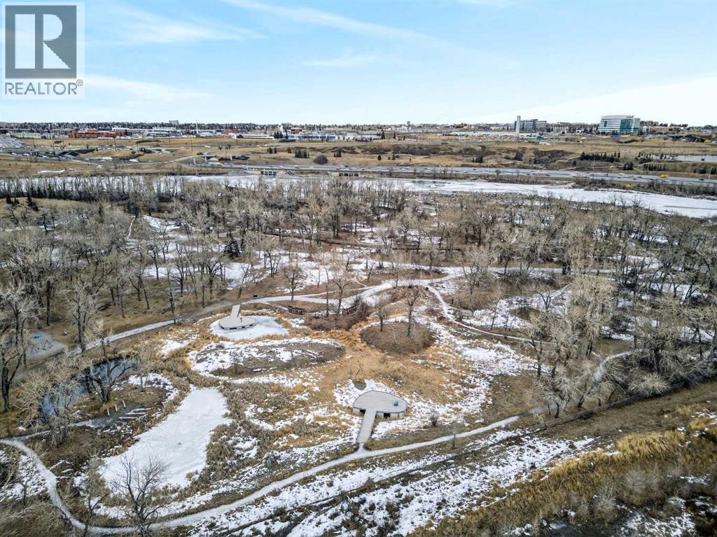 313, 1408 17 Street Se, Calgary, Alberta  T2G 5S8 - Photo 31 - A2282844