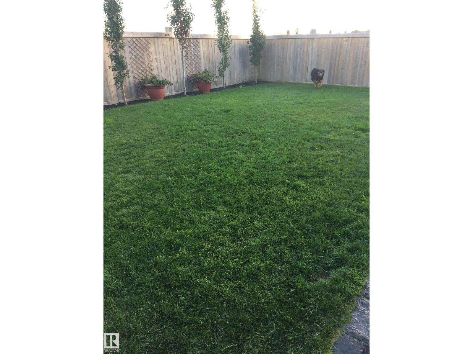 10415 94 St, Morinville, Alberta  T8R 0B2 - Photo 53 - E4475074