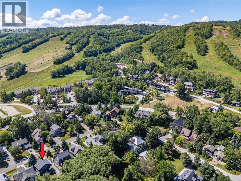 115 Pioneer Lane, The Blue Mountains, Ontario  L9Y 0M6 - Photo 46 - 40808123