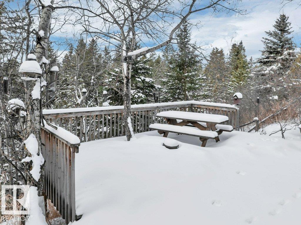 470073 Range Road 243, Rural Wetaskiwin County, Alberta  T9A 1Y7 - Photo 11 - E4475079