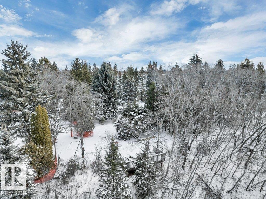 470073 Range Road 243, Rural Wetaskiwin County, Alberta  T9A 1Y7 - Photo 13 - E4475079