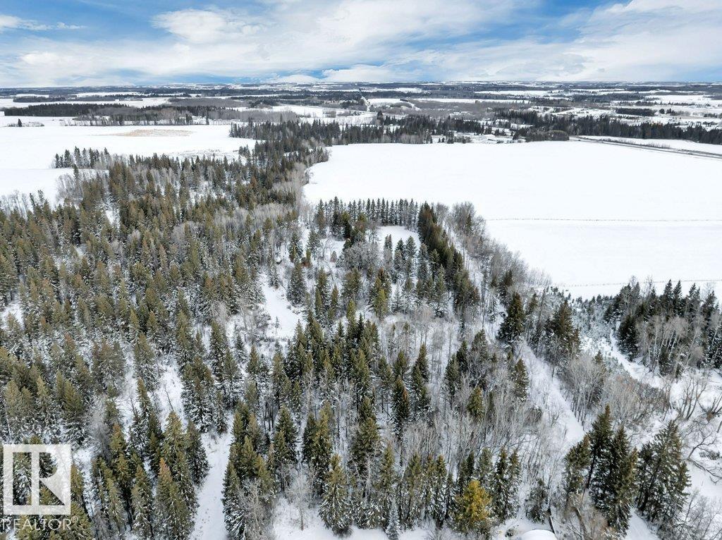 470073 Range Road 243, Rural Wetaskiwin County, Alberta  T9A 1Y7 - Photo 21 - E4475079