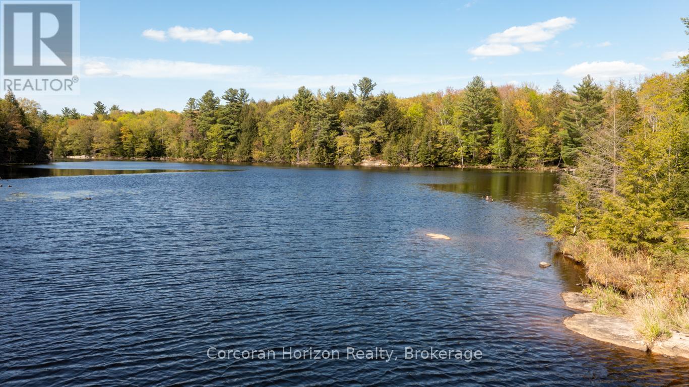 Lt 14 Hungry Bay Road, Georgian Bay (Baxter), Ontario  L0K 1S0 - Photo 6 - X12825796