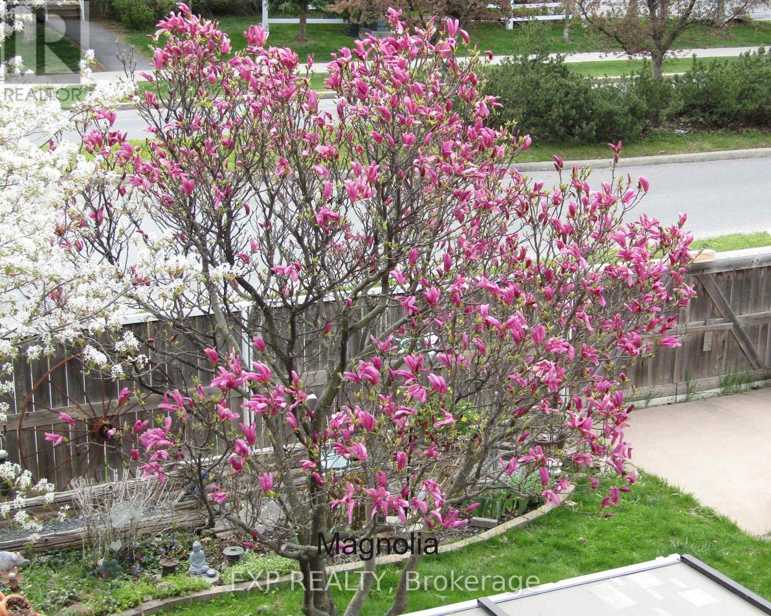 176 Windhurst Drive, Ottawa, Ontario  K2G 6J4 - Photo 36 - X12825780