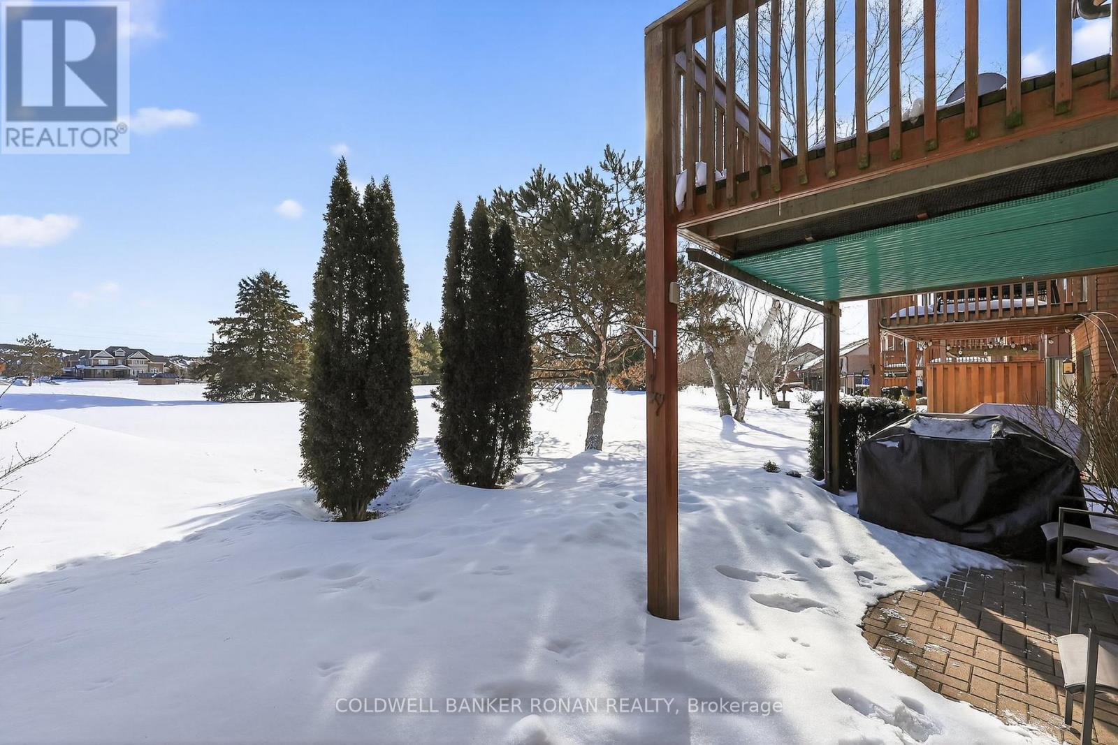 148 Green Briar Road, New Tecumseth, Ontario  L9R 1S2 - Photo 41 - N12825752