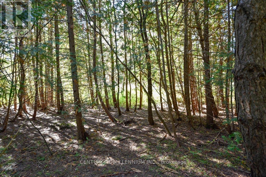 19976 Kennedy Road, Caledon, Ontario  L7K 1Y3 - Photo 48 - W12825694