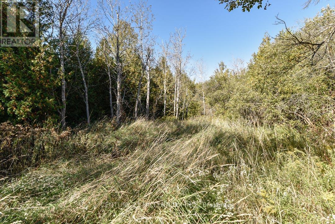 19976 Kennedy Road, Caledon, Ontario  L7K 1Y3 - Photo 49 - W12825694