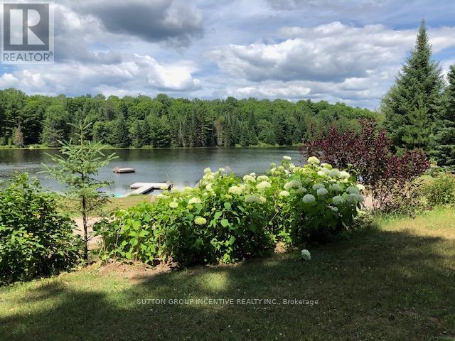 1831 County Road 21 Road, Minden Hills, Ontario  K0M 2K0 - Photo 10 - X12825778