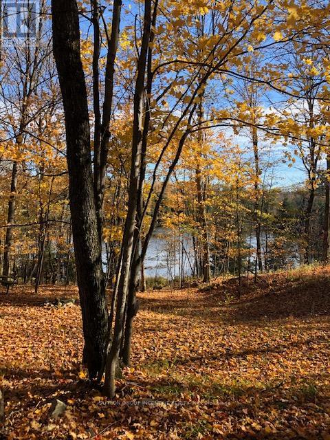 1831 County Road 21 Road, Minden Hills, Ontario  K0M 2K0 - Photo 11 - X12825778