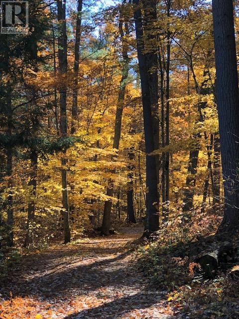 1831 County Road 21 Road, Minden Hills, Ontario  K0M 2K0 - Photo 12 - X12825778