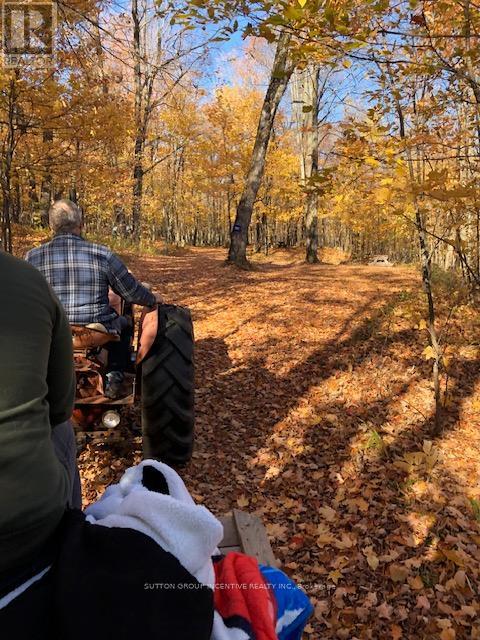 1831 County Road 21 Road, Minden Hills, Ontario  K0M 2K0 - Photo 13 - X12825778