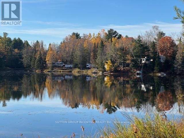 1831 County Road 21 Road, Minden Hills, Ontario  K0M 2K0 - Photo 6 - X12825778