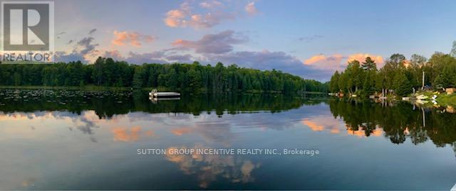 1831 County Road 21 Road, Minden Hills, Ontario  K0M 2K0 - Photo 7 - X12825778