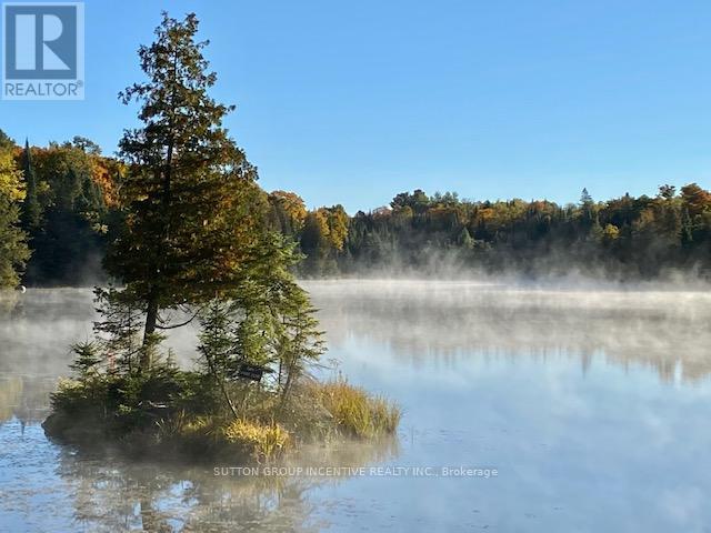 1831 County Road 21 Road, Minden Hills, Ontario  K0M 2K0 - Photo 8 - X12825778