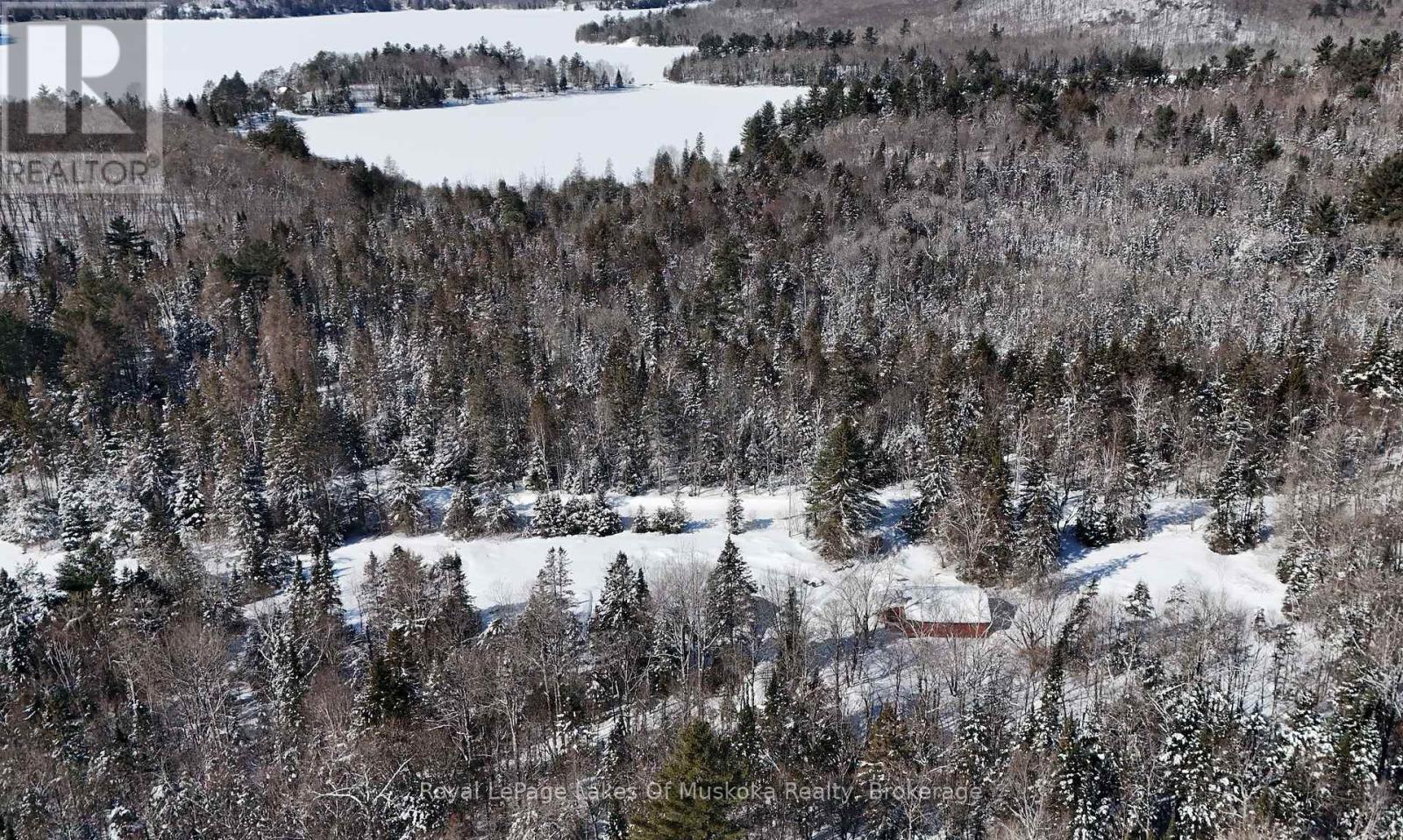 75 Old Novar Road, Huntsville, Ontario P1H 2J2 - Photo 12 - X12825818