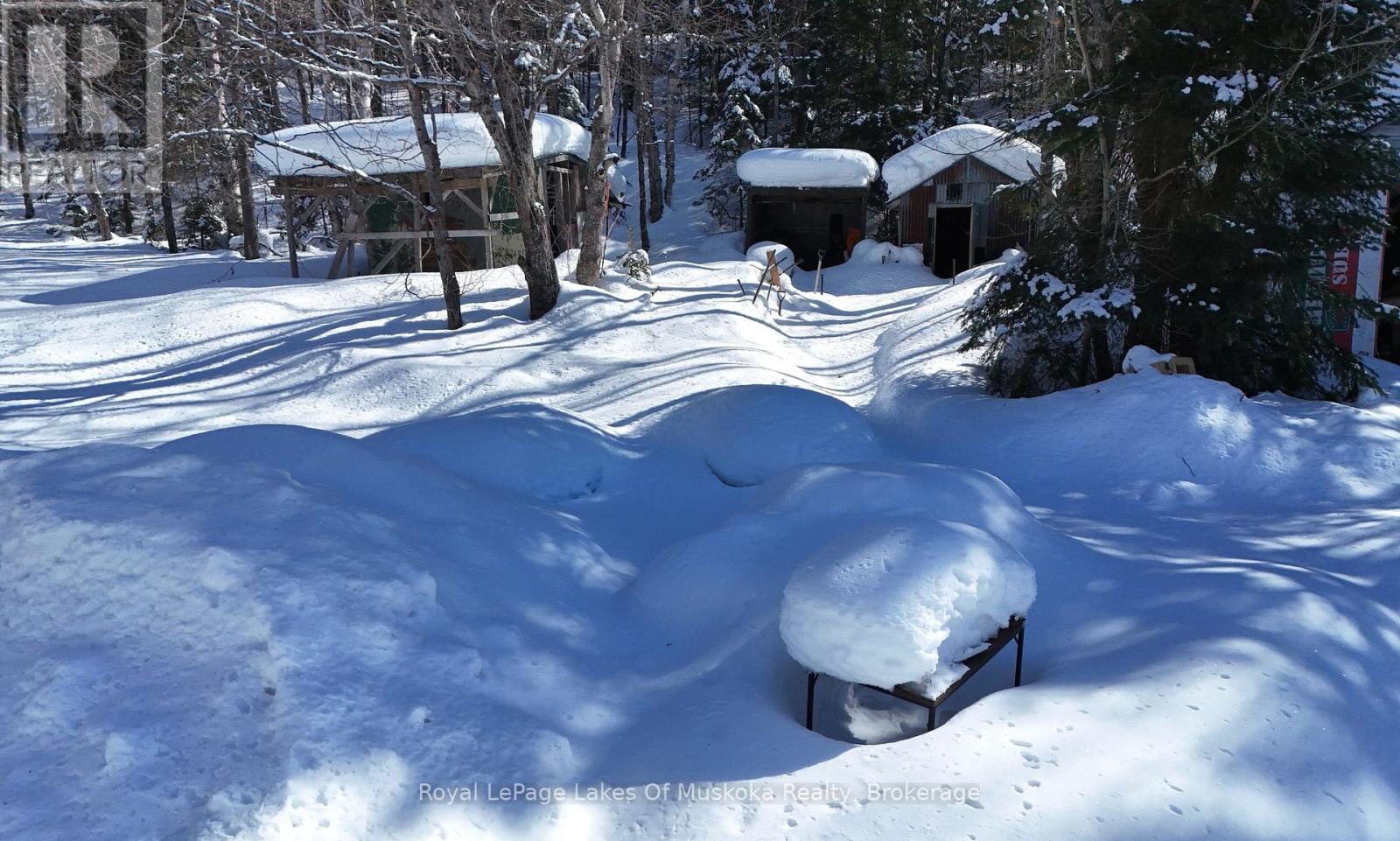 75 Old Novar Road, Huntsville, Ontario P1H 2J2 - Photo 9 - X12825818