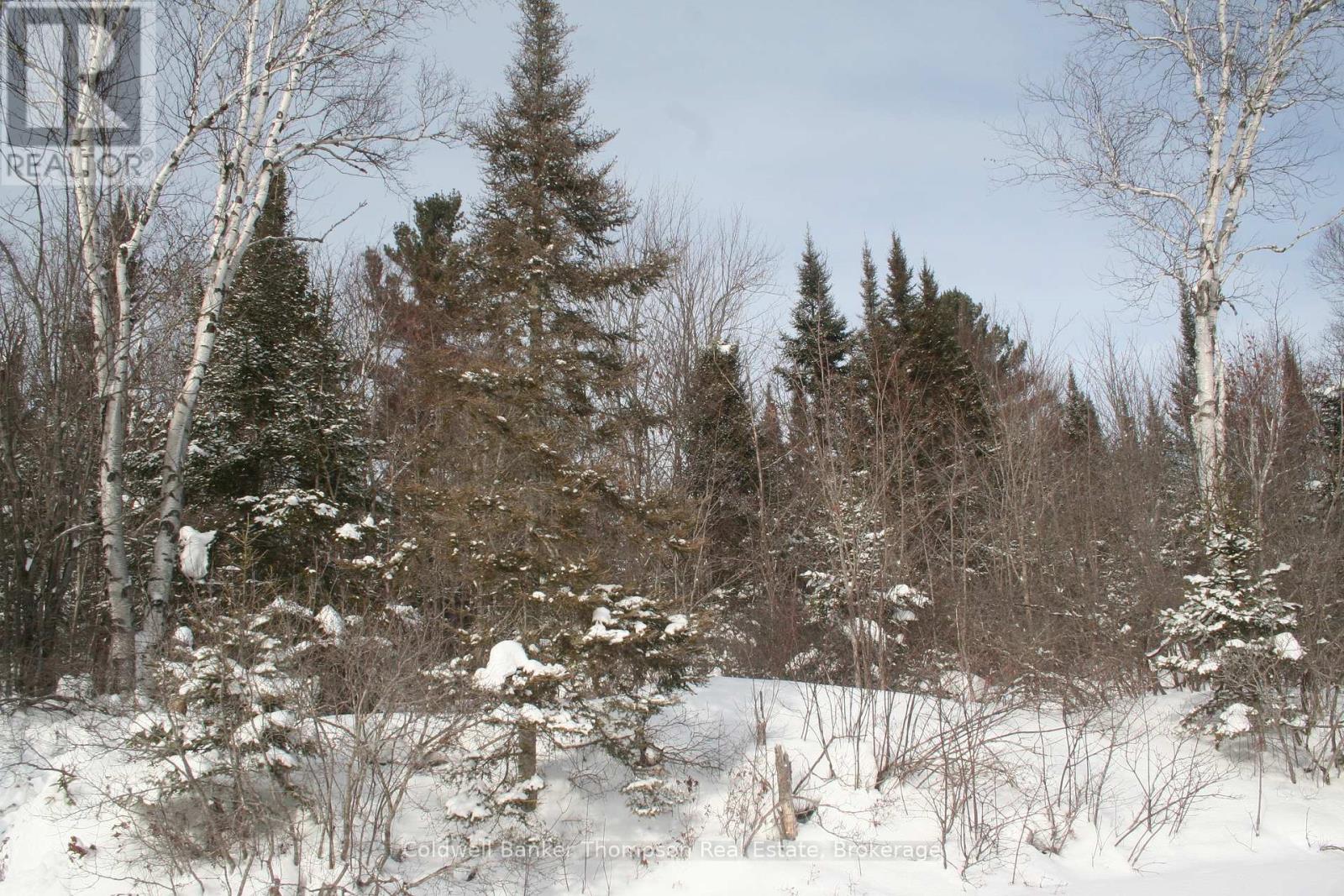 0 Beaver Lane, Nipissing, Ontario  P0H 1W0 - Photo 17 - X12825848